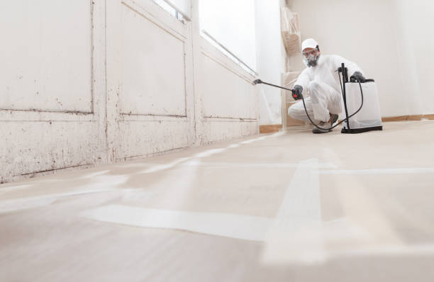 24/7 Emergency Mold Removal experts in Frisco, TX